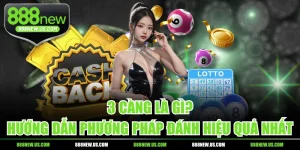 3 Càng Là Gì? Hướng Dẫn Phương Pháp Đánh Hiệu Quả Nhất