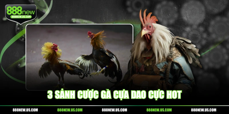 3 sảnh cược gà cựa dao cực hot