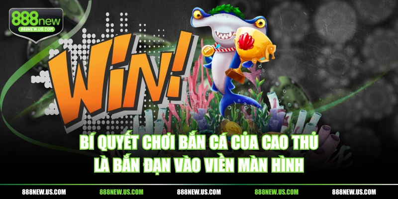 Bí quyết chơi bắn cá của cao thủ là bắn đạn vào viền màn hình Bí quyết chơi bắn cá của cao thủ là bắn đạn vào viền màn hình