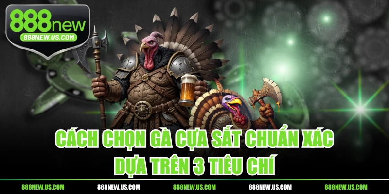 Cách Chọn Gà Cựa Sắt Chuẩn Xác Dựa Trên 3 Tiêu Chí