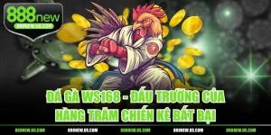 Đá Gà WS168 - Đấu Trường Của Hàng Trăm Chiến Kê Bất Bại