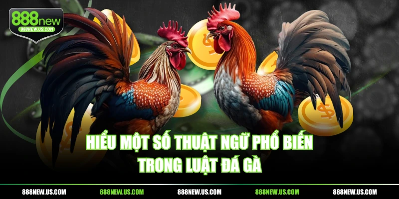 Hiểu một số thuật ngữ phổ biến trong luật đá gà