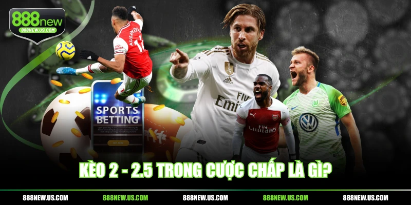 Kèo 2 - 2.5 trong cược chấp là gì? Kèo 2 - 2.5 trong cược chấp là gì?